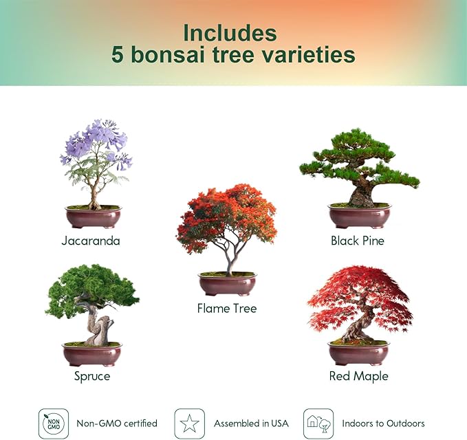 Herbsy Bonsai Tree Kit, Indoor Live House Plants Starter Kits, Mothers Day, Birthday Gifts for Women, Men, Gardening Lovers, Complete Bonzai Tree Growing Set