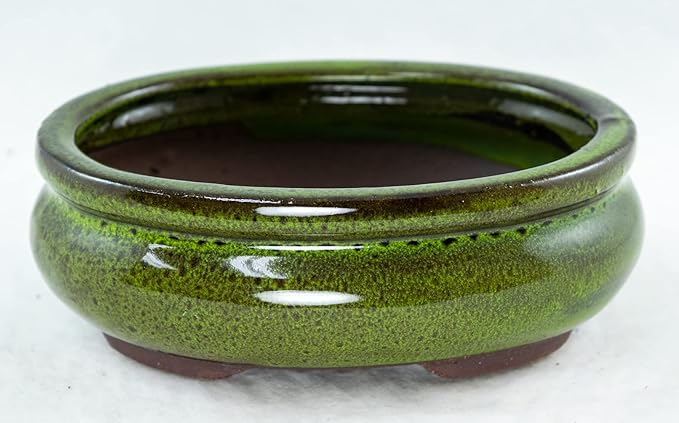 6 inch Oval Moss Green Glazed Bonsai / Succulent Pot + Soil + Tray + Rock + Mesh Kit