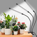 Black Clip Grow Lights for Indoor Plants, 168 Full Spectrum LEDs Clip Plant Growing Lamps with Flexible Gooseneck and 4/8/12h Timer, 3 Spectral Modes, 10 Dimmable Levels (4 Head 1 Pack)