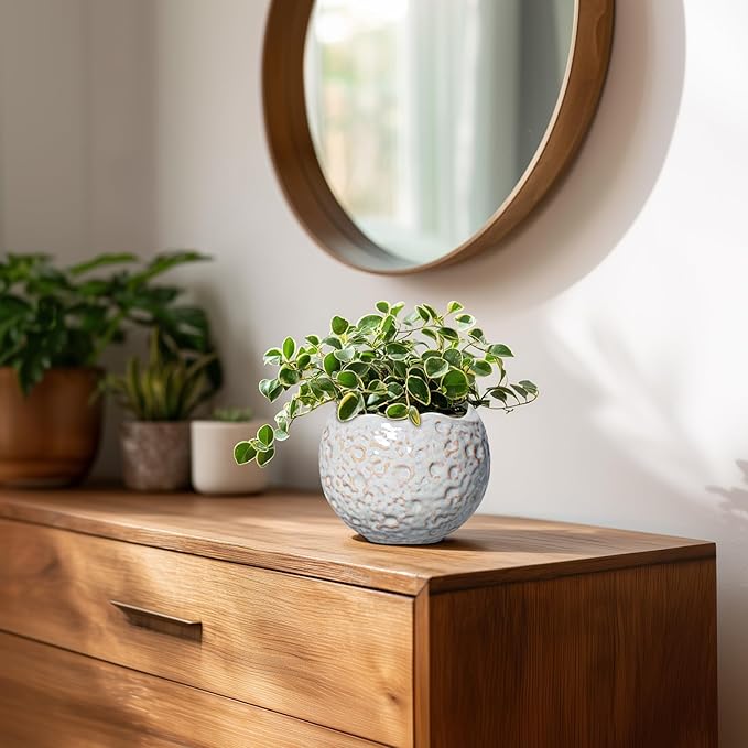 4 Inch Plant Pots - Ceramic Flower Pot for Indoor Outdoor Plants, Small Plant Pot with Drainage Hole and Plug, Round Planter, Unique Plant Pots, Home Decor, Gardening Gifts for Women, Grey