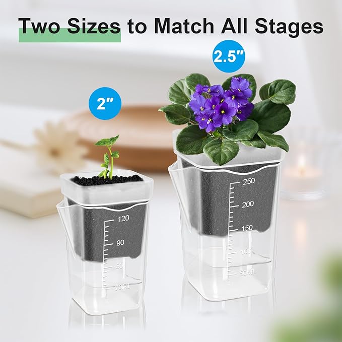 10 Pack 2.5" Mini Self Watering Pots for Indoor Plants, Small Clear Plastic Planters with Drainage & Water Level, Semi Hydroponic Pots for African Violet, Propagation and Succulents