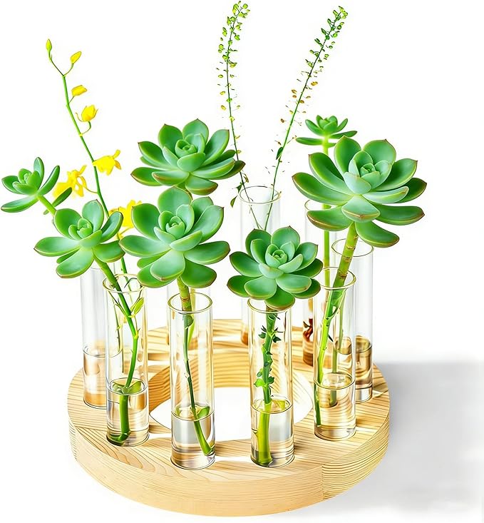 Melphoe Glass Bud Vases Small Flower Vase for Centerpieces Wedding Table Decorations, Home Decor, Propagation Station Plant Terrarium with Wooden Stand, Unique Plant Lover Gifts for Women (Beige)