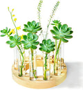 Melphoe Glass Bud Vases Small Flower Vase for Centerpieces Wedding Table Decorations, Home Decor, Propagation Station Plant Terrarium with Wooden Stand, Unique Plant Lover Gifts for Women (Beige)
