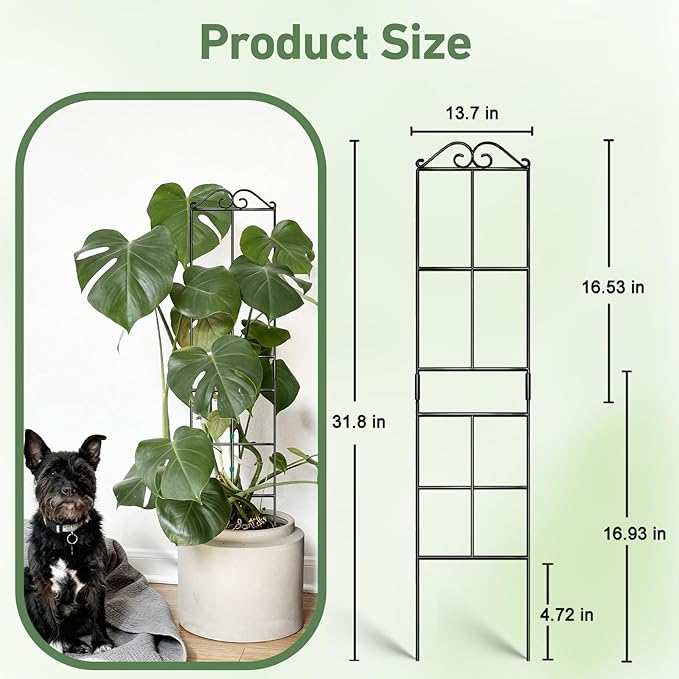 31.8'' Stackable Plant Trellis Indoor, Metal Trellis for Climbing Plants Indoor, House Plant Support with Soft Ties for Monstera Hoya Pothos, 4P