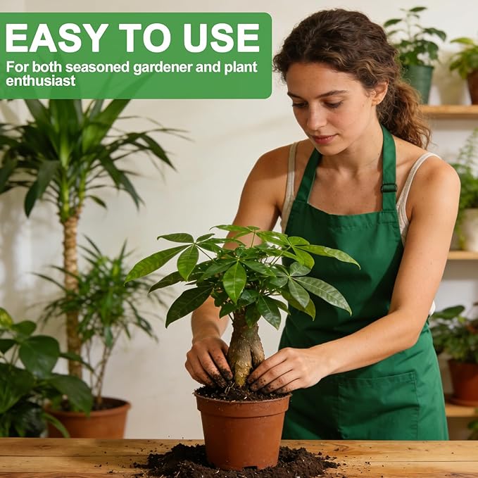 All-Natural Money Tree Soil & Indoor Potting Mix 4QT - Drainage-Enhanced Plant Soil for Healthy Indoor Plants