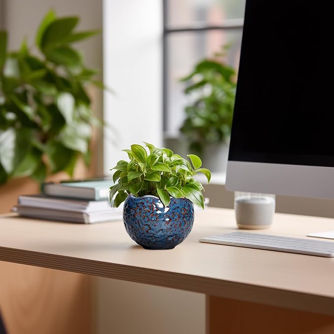 Ceramic Pots for Plants - 4 Inch Plant Pots for Indoor Outdoor, Small Planter with Drainage Hole, Unique Flower Pot, Decorative Modern Round Planter, Office Decor, Home Gifts, Retro Blue