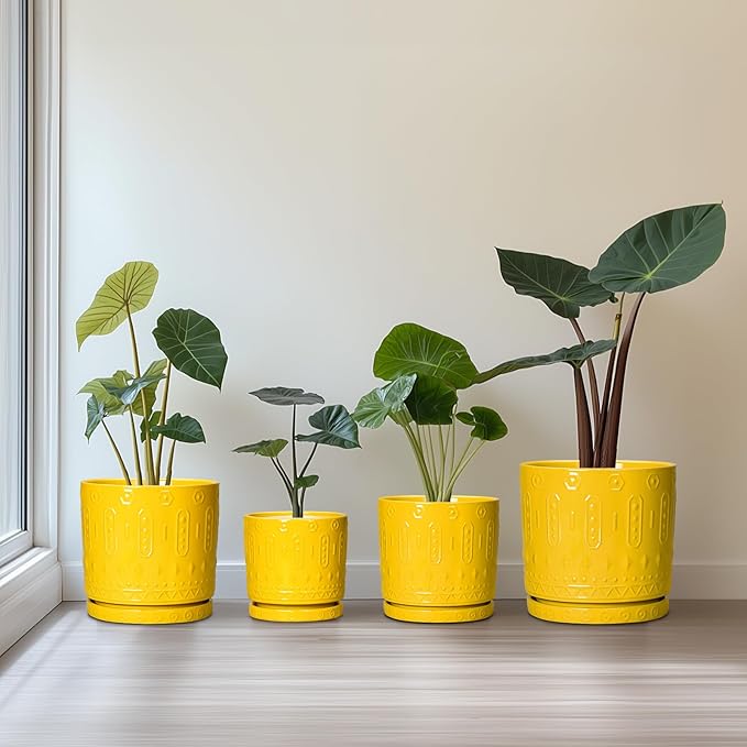 Eightpot 6 Inch Pots for Plants, Ceramic Pots for Plants with Drainage Holes and Tray, Round Planter for Indoor Outdoor, Modern Plant Pot, Decorative Flower Pot, Table Decor, Teacher Gift, Yellow