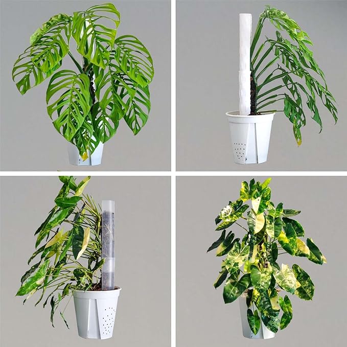 Plastic Moss Pole 4 Pack 17 Inch for Climbing Plants Monstera, Moss Pole Support for Indoor Plants, Plant Support for Monstera Work with Sphagnum Moss, Plant Lover Gifts（White）
