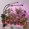 Grow Lights for Indoor Plants 2 Heads Full Spectrum, Flexible Gooseneck Clip On Plant Light 40 LEDs, 3/9/12H Auto Timer 3 Modes 10 Brightness Levels for Seed Starting, Flowers & Vegetables