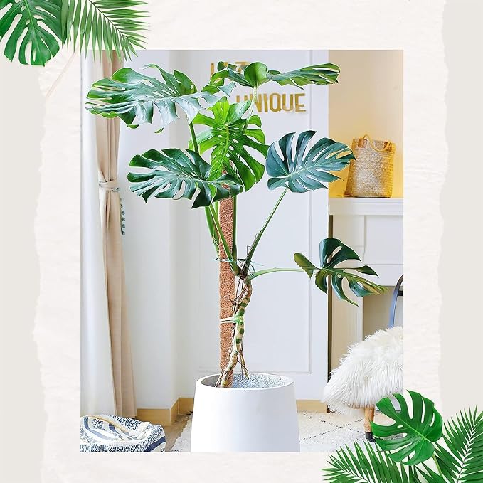 2 Pack Moss Pole for Plants Monstera - 25 Inch Moss Poles for Climbing Plants Monstera, Bendable Moss Pole Stakes for Indoor, Handmade Coco Coir Plant Support for Plants Grow Upward