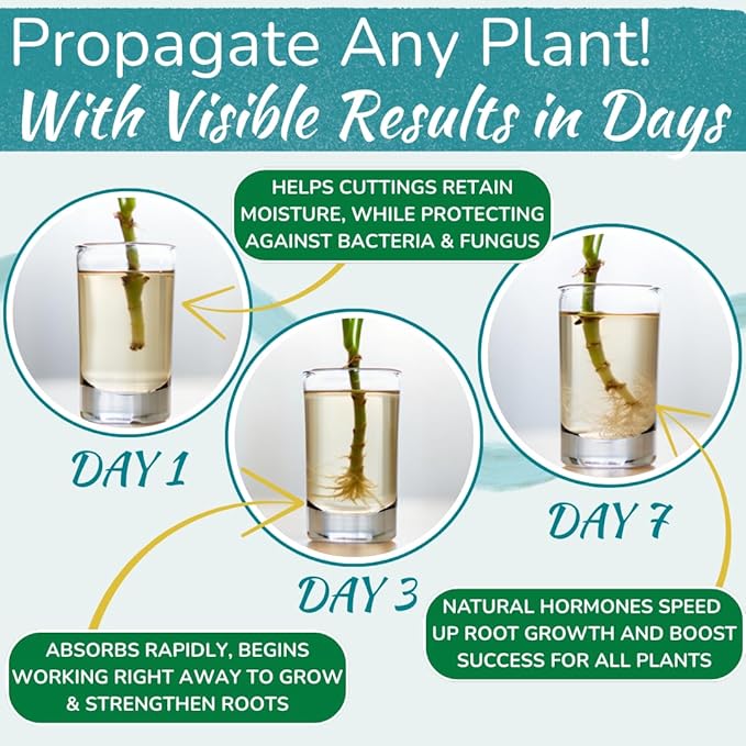 Houseplant Prop Drops - Propagation Promoter & Root Growth Hormone | Root Stimulator for Cuttings | Supports Stronger, Healthier Plants | Easy-to-Use Liquid Formula for Water & Soil Propagation | 8oz