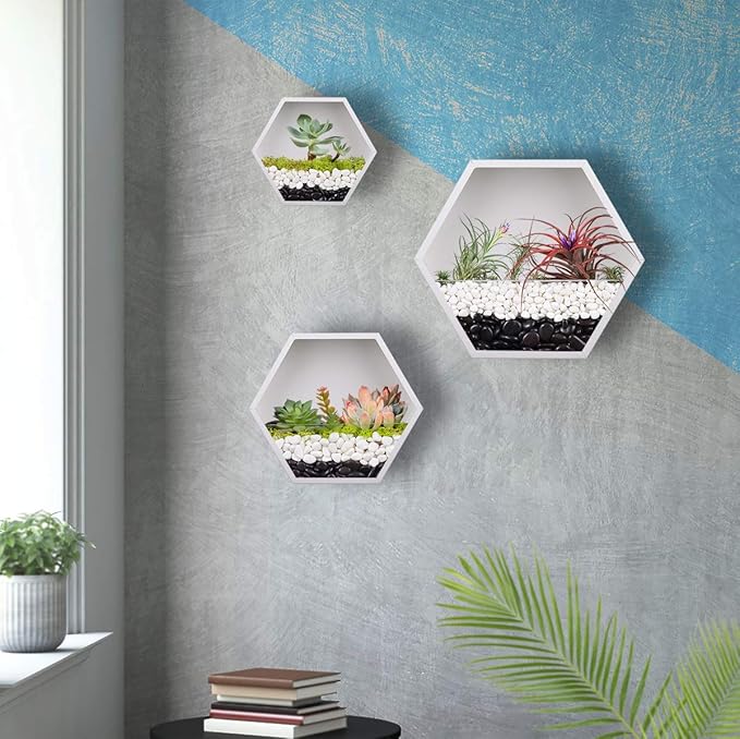 Knik Glass Hanging Hexagon Planter Wall-Mounted Flower Pot Hanging Basket Metal Vase Air Plant Holder Vintage Flower Pot Geometric Planter Succulent Cactus Container (Mixed Set of 3,White)
