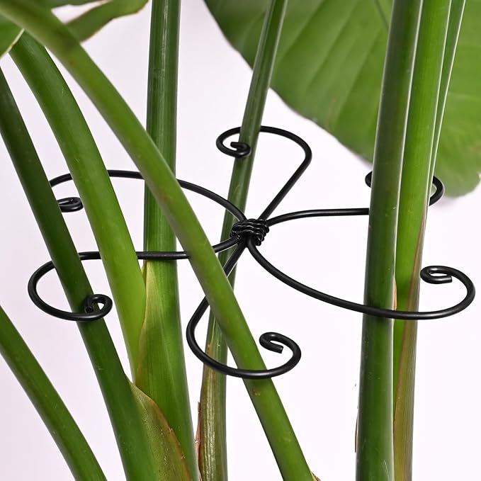 Yohsnor Black Monstera Plant Support Hook - 6.5 * 6.5IN -5 Piece Set, Durable Metal Stem Supports for Indoor Plants, Leaf Holder & Fishbone Cactus Stake, Stylish Design for Healthy Growth & Easy Care