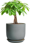 Indoor Planter 7 Inch - Round Ceramic Plant Pot for Cactus Orchid Plants with Drainage Hole and Saucer, Home Outdoor Patio Office Decor, Gray
