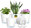 Meowell 5 inch Self Watering Flower Pots for Indoor Plants, 5 Pack Small Plant Pots with Drainage Holes & Clear Reservoir for Visible Water Level, Plastic Wicking Planter Pots for House Plants, White