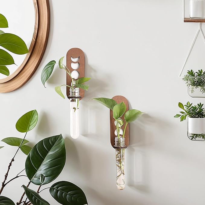 Artilady 2 Pack Plant Propagation Station Wall Hanging Wooden Moon Phase Plant Terrarium for Hydroponics Home Office Decor Test Tube Propagate Air Plant Cutting Holder