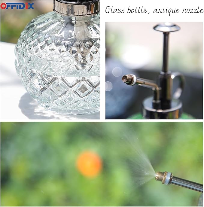 OFFIDIX Glass Plant Mister,Small Plant Spray Bottle with Plastic Top Pump for houst Plant