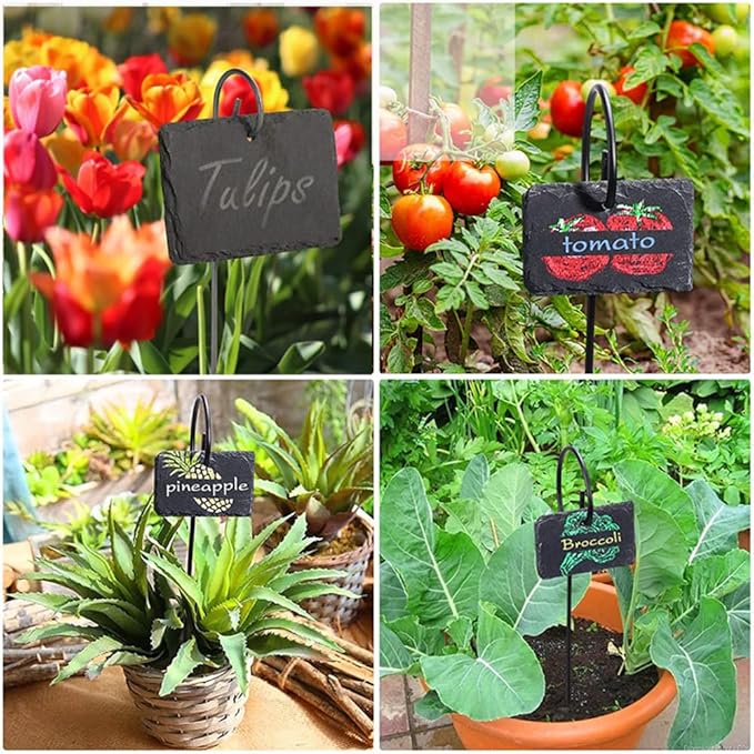 Slate Plant Labels Garden Markers Signs Labels with Stainless Steel Stake & Marker Pen Waterproof Slate Plant Labels for Flowers, Herbs, Potted Plants, Seed (Round, 5PCS)