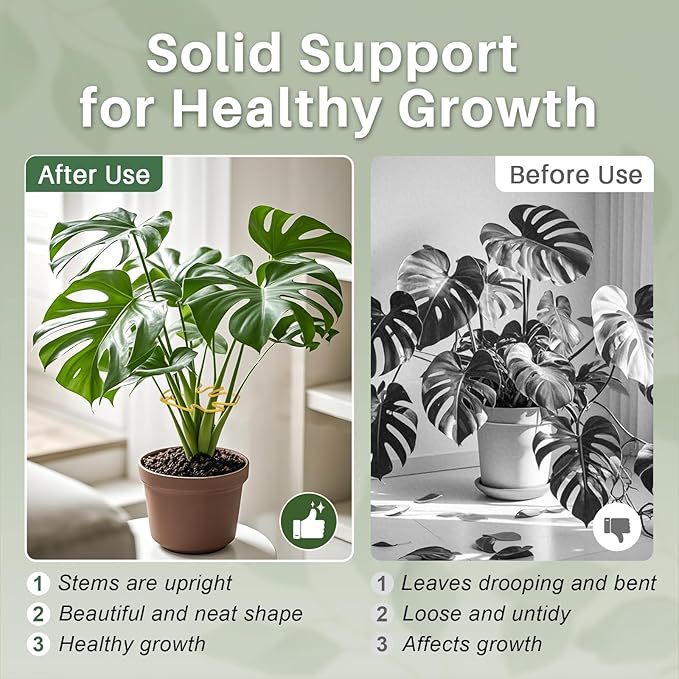 Monstera Plant Support for Indoor Plants Metal Plant Stem Holder Plant Support Ring for Climbing Plants Stem Stabilizer (6.29 * 7.08inch/ 5)