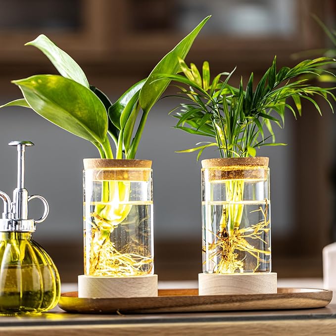 Glass Plant Propagation Stations, Propagation Vases for Plants with Ambient Light Base, Hydroponic Vase for Home & Office Windowsill Tabletop Decoration Desktop Vases for Living Room, Bedroom (6)