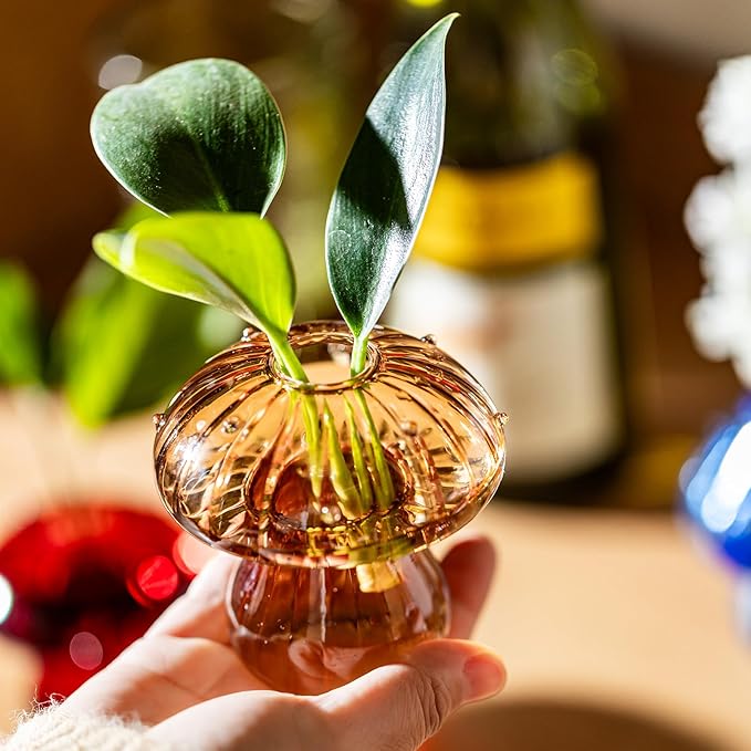 Mushroom Vases, Set of 6 Colored Plant Propagation Station, Mushroom Propagation Vase, Mini Terrarium for Plants, Cute Glass Hydroponic Vase for Flowers, Gifts for Women, Plant Lover(6)