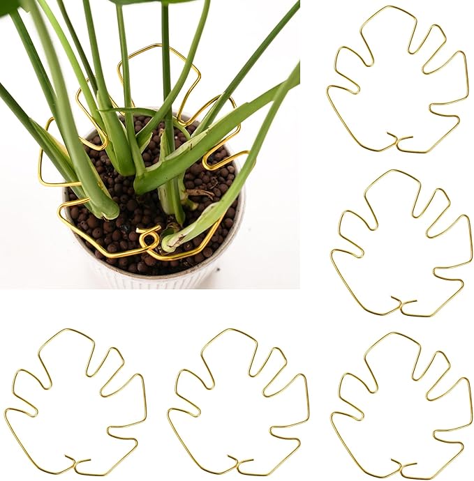 6PCS Plant Stem Support, Monstera Plant Support, Unique Designed Stable Plant Support Stakes for Plants Stabilizer, Turtle Shell Bamboo Clamp Set for Outdoor & Indoor Climbing Plants Thriving Growth
