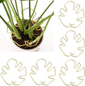 6PCS Plant Stem Support, Monstera Plant Support, Unique Designed Stable Plant Support Stakes for Plants Stabilizer, Turtle Shell Bamboo Clamp Set for Outdoor & Indoor Climbing Plants Thriving Growth