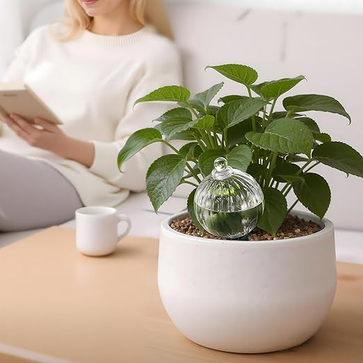 Soilagua 12 oz Plant Watering Globes Top Fill, Clear Glass Water Bulbs with Terracotta Spikes Stake, Vacation Slow Release Self Watering Planter Insert, Automatic Drip Device, 1 Pack