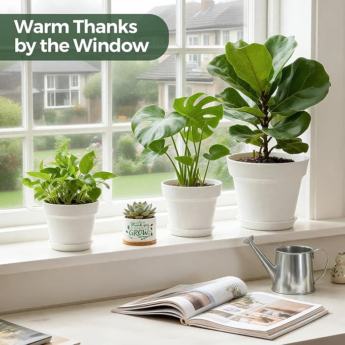 T4U Thank You for Helping Me Grow, 1 Pack Thank You for Helping Me Grow Gift for Teacher, Mini Succulent Pots for Plant Lovers,Thanksgiving Teacher Gift, Small Cactus (3.5 Inch)