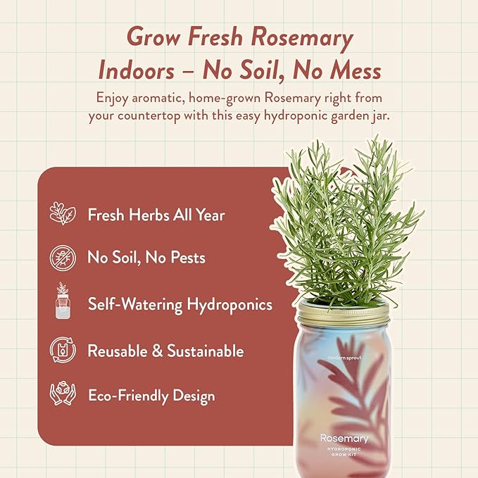 Modern Sprout Mason Garden Jar - Self-Watering Hydroponics Growing System Kit with Organic Herb Seeds - Jar Planter for Indoor Herb Garden - Seed Starter Kit - Home Decor & Gifting - Rosemary
