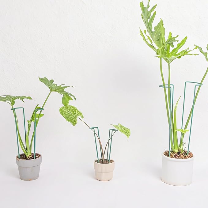 10 Pack Monstera Support Indoor Plant Support Stakes for Large Plants and Climbing Vines | Plant Supports for Outdoor and Indoor Use | Ideal Garden Flower Stem Holder Trellis for Plant Lovers
