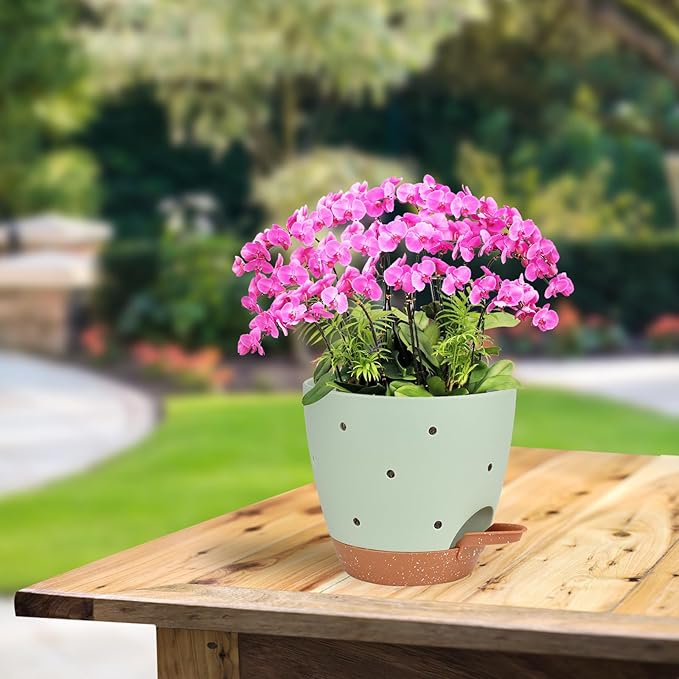 Vanslogreen 6 Inch Orchid Pots with Holes, 3 Pack Self Watering Planters for Orchids Plastic Orchid Pot Plant Flower Pots for Orchids Indoor Outdoor (Multicolor)