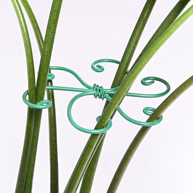 Yohsnor 5PCS Monstera Plant Support Hook - 4.1 * 4.4IN, Durable Flexible Stabilizers for Indoor Plants, Metal Stem Supports and Leaf Holders, Easy Tool-Free Operation, Ideal for Fishbone Cactus Care