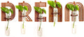 5 Pack Letter Wall Propagation Planters Test Tubes Wall Decor for Hanging Plants Clear Water Plant Vase Brown Wood Upletter Alphabet Functional Art Boho Set Dream