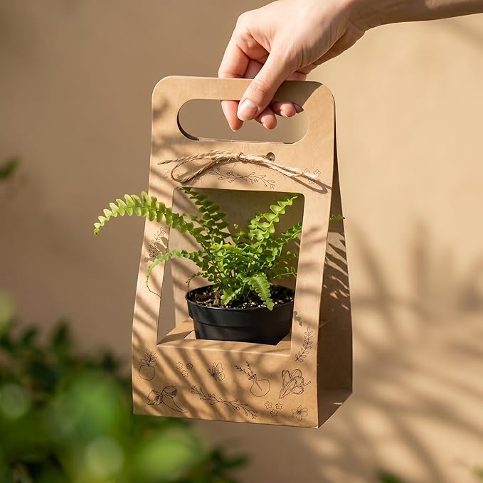 Fayoula 24 Pcs Succulent Wrap Bags, Kraft Paper Gift Box for 3 Inch Pots, Party Favors, Baby Shower