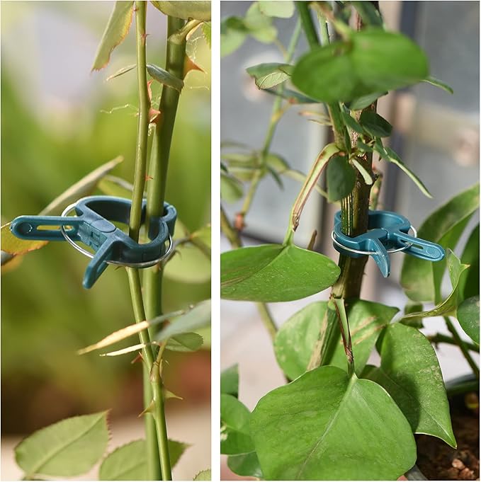 PERSZEN Plant Support Clips, 80 PCS Gentle Flower Plant Clamps for Supporting Vine Climbing Plants, Gardening Lever Loop Gripper Clips Help Stems Vines Grow Straight Upright, 2 Sizes in one Pack