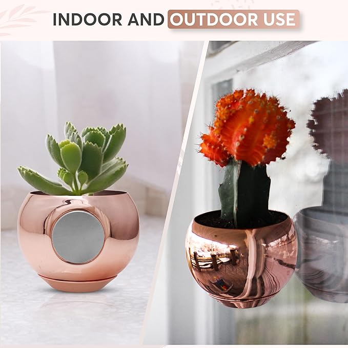 Magnetic Plant Pot - Unique Window Planter for Succulents, Indoor & Outdoor Greenery - Self-Adhesive Magnet Attachment, Drainage Holes, Detachable Reservoir - Rose Gold