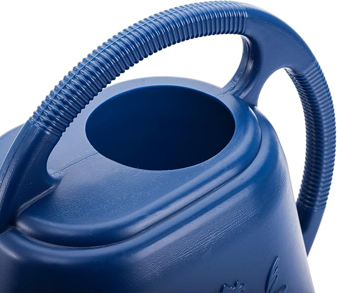 Fasmov 1-Gallon Plastic Watering Can with Comfortable Handle, Garden Watering Cans Long Spout for Indoor Outdoor Watering Plants, Blue