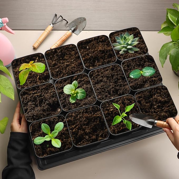 RooTrimmer 3.15 inch (8CM) Square Nursery Pots 100 pcs, Sturdy Seedlings Trays 5 Pcs, Seeds Starter Germination Tray, Microgreening Planter Nursery Propagation 5 Sets
