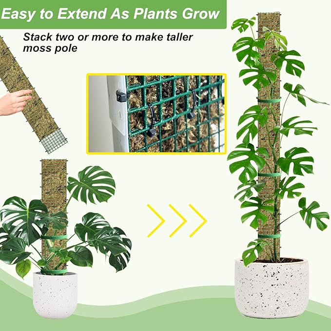 70" Metal Moss Pole, D Shape Sphagnum Moss Pole, Moss Poles for Climbing Plants, Monstera, Indoor Climbing Plants (2Pcs 70")