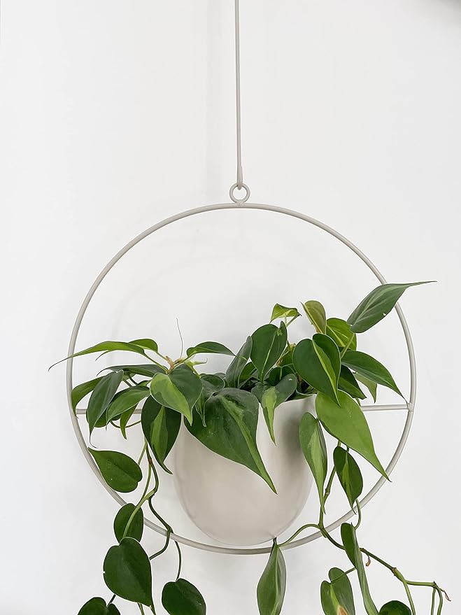 RISEON Boho White Metal Plant Hanger,Metal Wall and Ceiling Hanging Planter, Modern Planter, Mid Century Flower Pot Plant Holder, Minimalist Planter for Indoor Outdoor Home Decor…