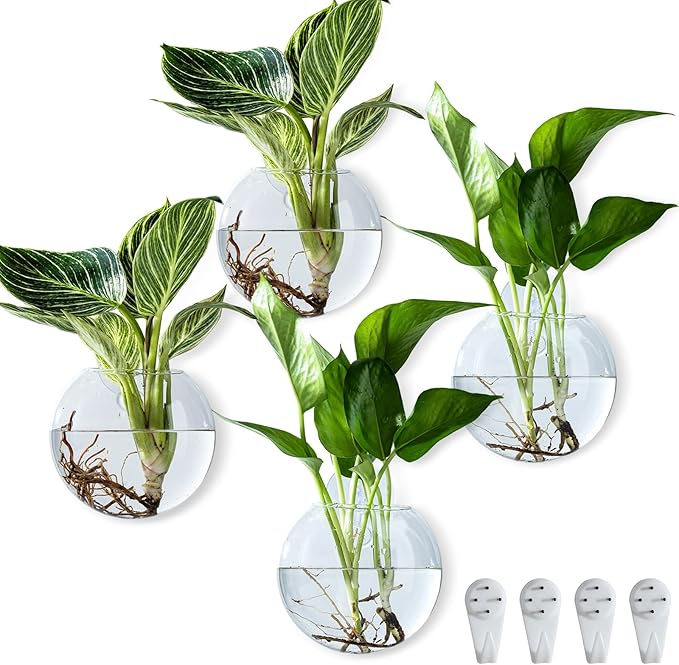 Wall Hanging Planter Propagation Station, Oblate Glass Flower Vase for Propagation, Wall Planter for Indoor Plants, Modern Home Office Corridor Bathroom Decor (4)