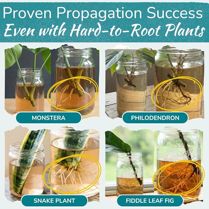 Houseplant Prop Drops - Propagation Promoter & Root Growth Hormone | Root Stimulator for Cuttings | Supports Stronger, Healthier Plants | Easy-to-Use Liquid Formula for Water & Soil Propagation | 8oz