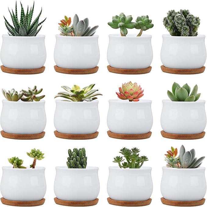 Brajttt Succluent Pots ，Small Flower Pots Planter Pots with Drinage,Ceramic Flowers Pots with Bamboo Tray for Cactus(12 Pack