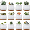 Brajttt Succluent Pots ，Small Flower Pots Planter Pots with Drinage,Ceramic Flowers Pots with Bamboo Tray for Cactus(12 Pack