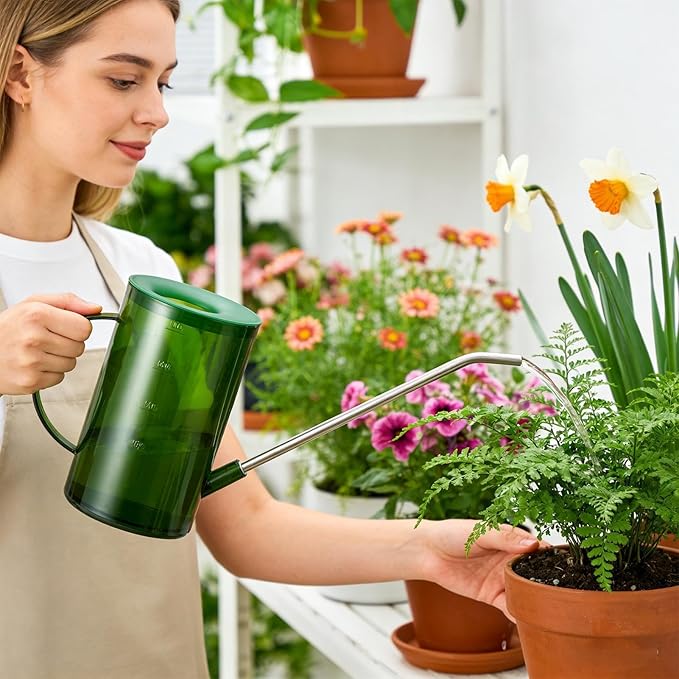 Long Spout Watering Cans | Small Can for Indoor Plants | 1L Clear with Handle Scale Detachable Lid | Plant Watering Devices for Flowers Succulents | Gardening Supplies