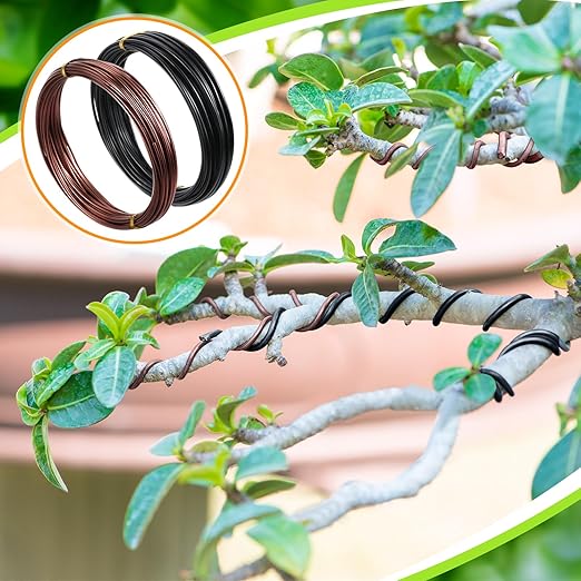 Mudder 5 Roll Aluminum Bonsai Training Wire Tree 160 Feet Total with Bonsai Wire Cutter Anodized Training for Holding Branches Small Trunks(1/1.5/2.0mm,Classic)