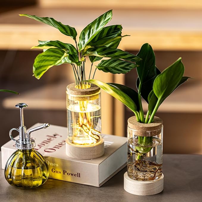 Glass Plant Propagation Stations, Propagation Vases for Plants with Ambient Light Base, Hydroponic Vase for Home & Office Windowsill Tabletop Decoration Desktop Vases for Living Room, Bedroom (4)