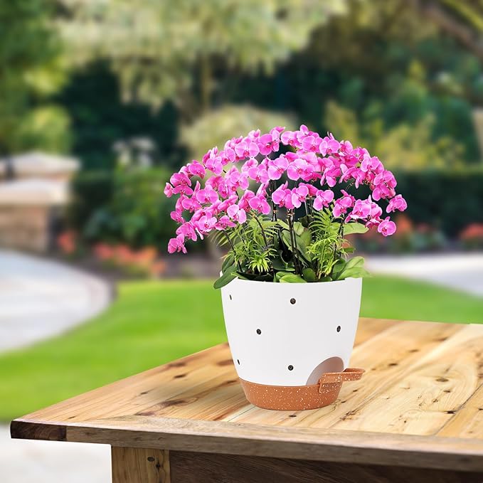 Vanslogreen 6 Inch Orchid Pots with Holes, 2 Pack Self Watering Planters for Orchids Plastic Orchid Pot Plant Flower Pots for Orchids Indoor Outdoor (White with Brown)