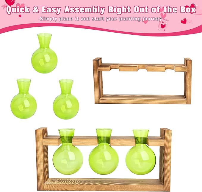 XXXFLOWER Glass Plant Mister Spray+3 Bulb Glass Propagation Station